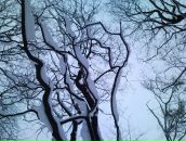 Фотография Заворотынской Светланы