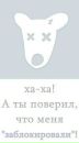 Міша Лесик фотография #31 (источник - https://vk.com/id60946671)