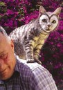 Фотография Бякова Вадима