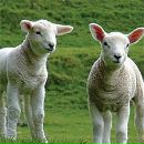 Фотография Гарифулиной Юлии