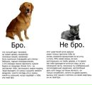 Михаил Чен фотография #2 (источник - https://vk.com/id2934969)