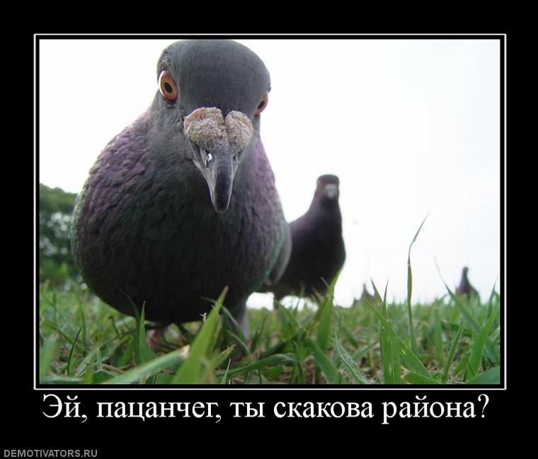 Женя Ezh фотография #49