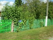 Руслан Пилипчук фотография #24 (источник - https://vk.com/id112633594)