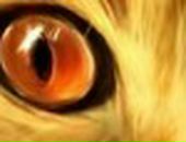 Александар Пешић фотография #17 (источник - https://vk.com/id30650970)