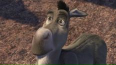 Фотография Осипова Алексея