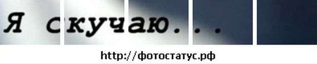 Сергій Мушка фотография #20 (источник - https://vk.com/id72071038)