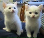 Фотография Степашовой Оли