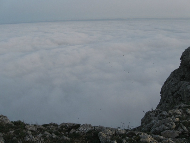 Владимир Шевченко фотография #43