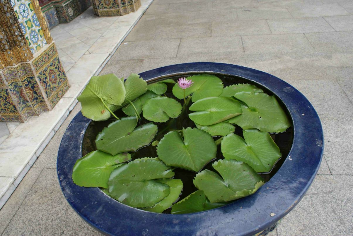 Станислав Биров фотография #21