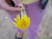 Фотография Солнечной Екатерины