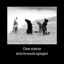 Фотография Павлова Алексея