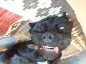 Фотография Ульяновой Лилии