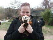 Фотография Brennan Maria