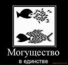 Іван Меланчук фотография #28 (источник - https://vk.com/id65843770)