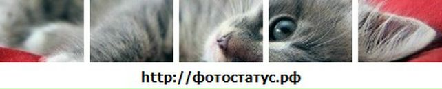 Іра Кулик фотография #23 (источник - https://vk.com/id19033940)