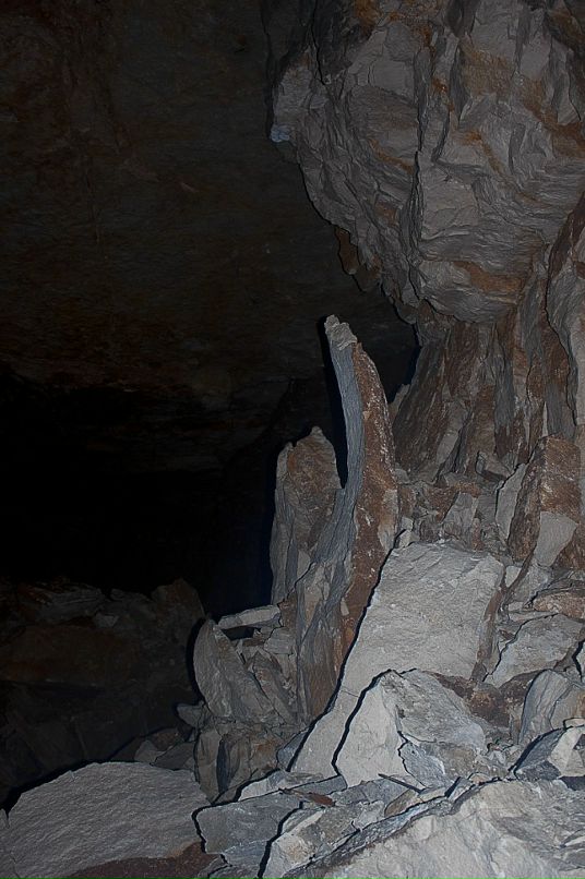 Дмитрий Черевко фотография #39