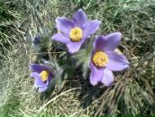 Фотография Викторовны Ларисы