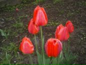 Сергій Дудін фотография #44 (источник - https://vk.com/id60860149)