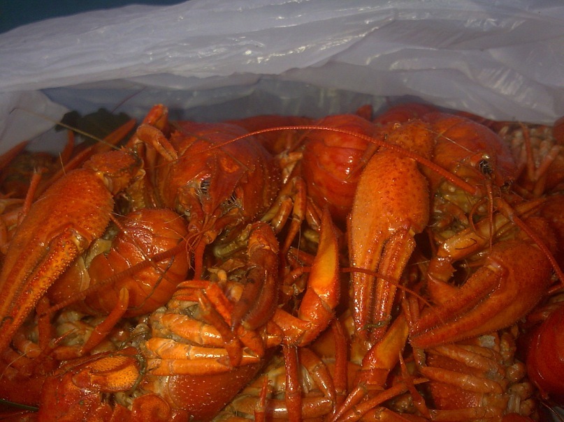 Андрей Исаев фотография #37