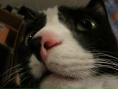 Фотография Станицкого Иннокентия