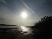 Фотография Новикова Вани