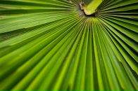 Дмитрий Арсентьев фотография #12 (источник - https://vk.com/id239494)