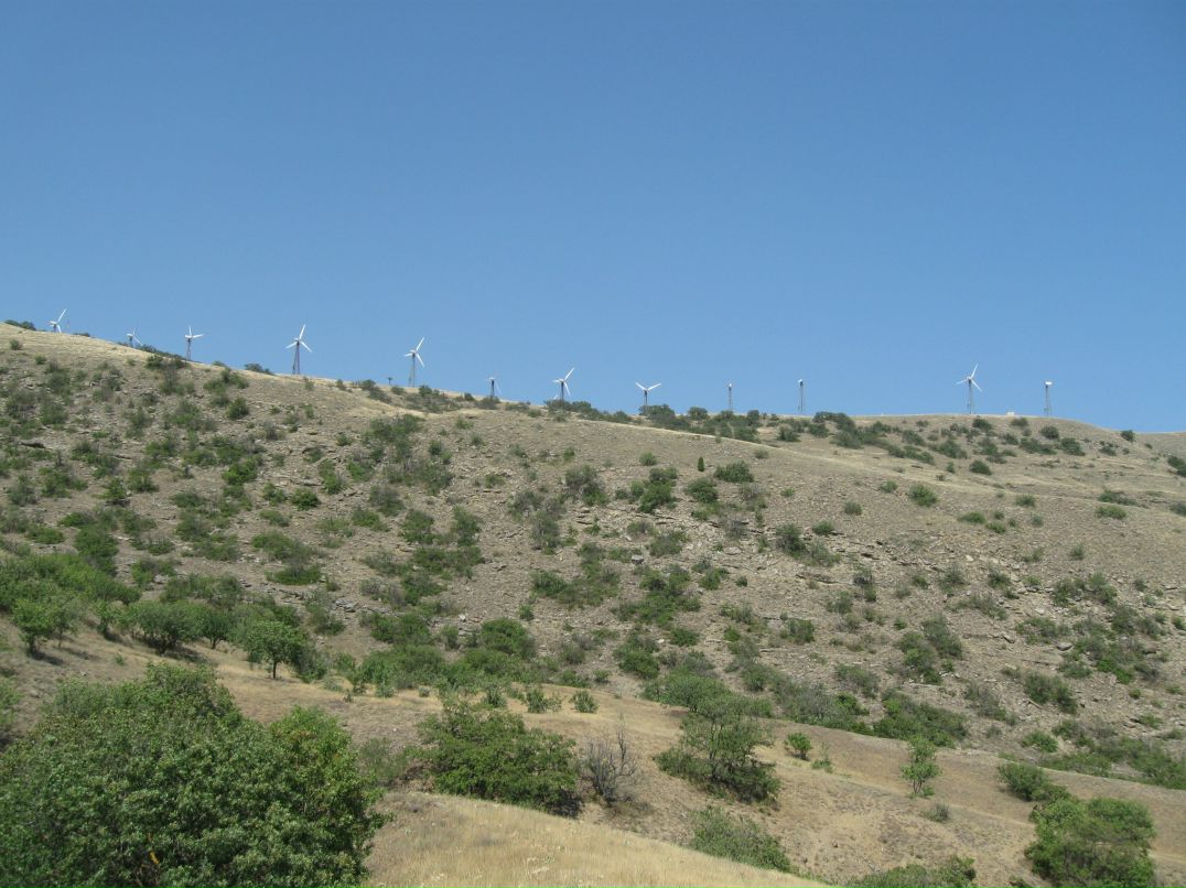 Пабло Пых фотография #50