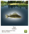 Віталька Жуковець фотография #2 (источник - https://vk.com/id147749918)