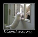 Фотография Михайловой Анны