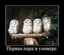 Олександр Улізько фотография #28 (источник - https://vk.com/id136093176)