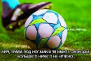 Віталій Помазан фотография #33 (источник - https://vk.com/id164952334)