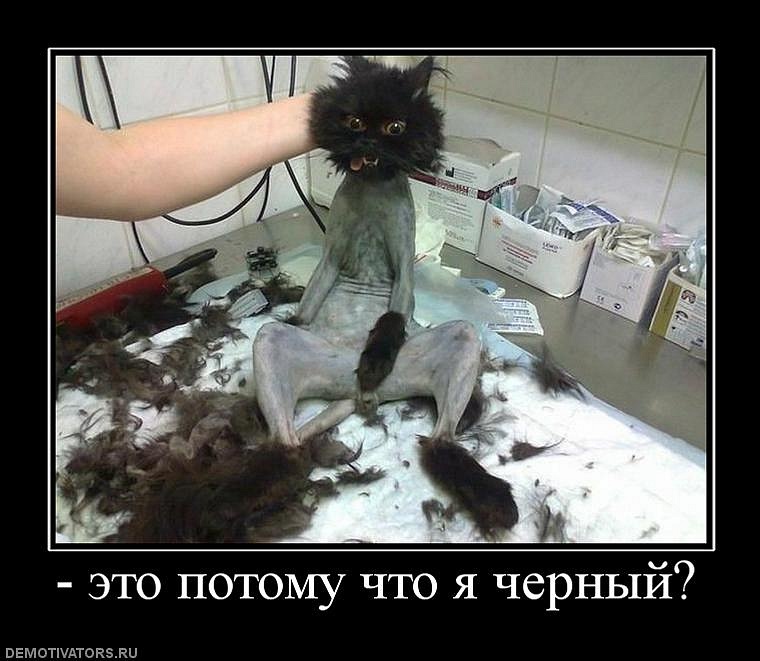 Леонид Субботин фотография #40