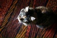 Фотография Дудник Евгении