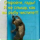 Аня Сілкова фотография #39 (источник - https://vk.com/id142446925)