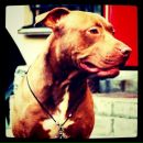 Фотография Панфилова Дмитрия