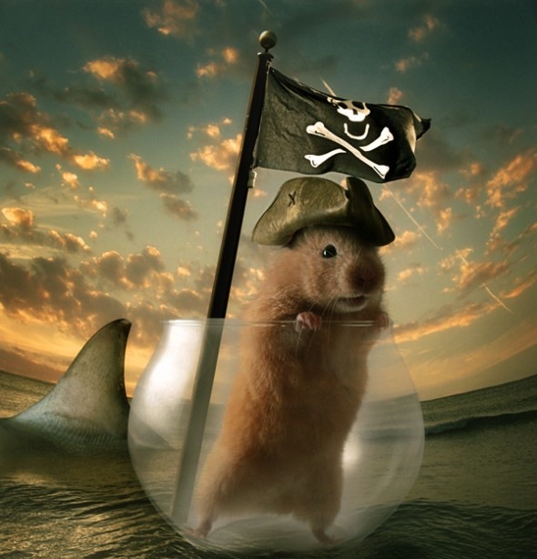 Дмитрий Ефимов фотография #35