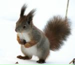 Віка Валовська фотография #2 (источник - https://vk.com/id120006376)