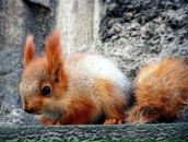 Фотография Черепановой Татьяны