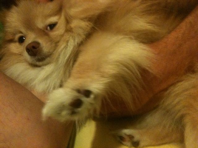 Ксюша Громенко фотография #38