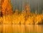 Олеся Матвійчук фотография #37 (источник - https://vk.com/id50923906)