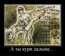 Роман Павлов фотография #26 (источник - https://vk.com/id77433399)