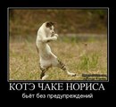 Вова Федінчик фотография #47 (источник - https://vk.com/id167941918)