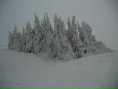 Роман Більський фотография #48 (источник - https://vk.com/id20958852)