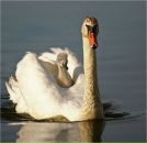 Helene Helene фотография #17 (источник - https://vk.com/id487734)