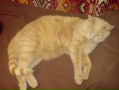 Андрій Давида фотография #28 (источник - https://vk.com/id10270199)