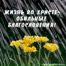 Фотография Мручак Марии