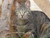 Фотография Кобец Юлии