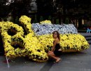 Kristi Їжаченко фотография #25 (источник - https://vk.com/id10044217)