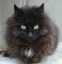 Дмитрий Левковский фотография #29 (источник - https://vk.com/id910200)