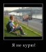  фотография #31